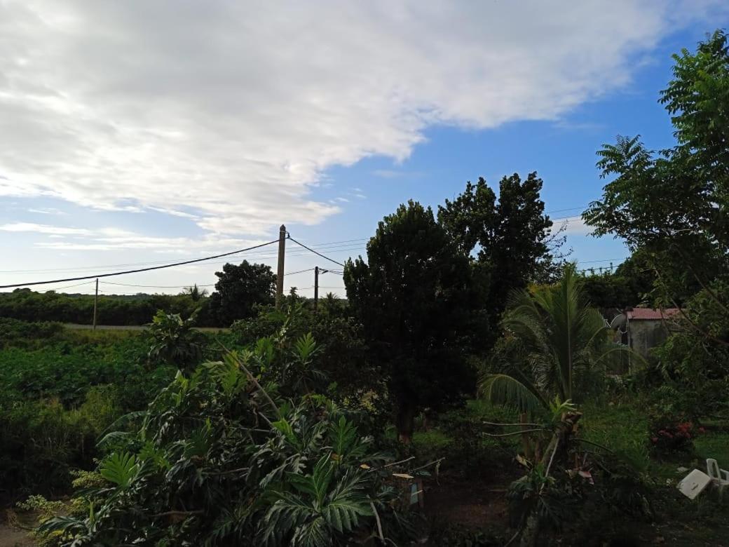 Appartamento Chez Momo Et Fafa 2 Anse-Bertrand Esterno foto
